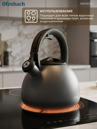 Чайник 2,7 л. из нержавеющей стали со свистком Ofenbach NB100321