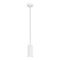Подвесной светильник ST Luce KENDO SL1213.503.01