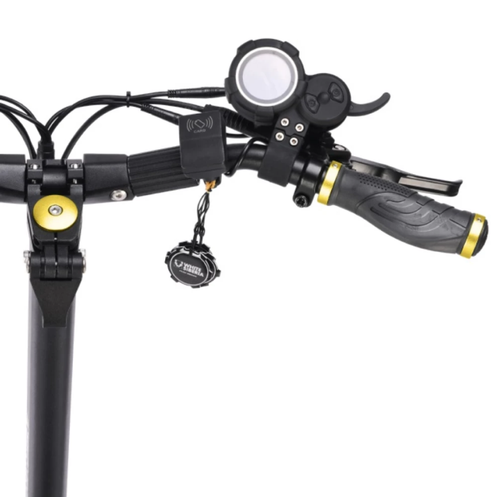 Электросамокат WHITE SIBERIA NERPA PRO 3600W Gold