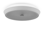 Потолочный светодиодный светильник Freya FR10012CL-L24W