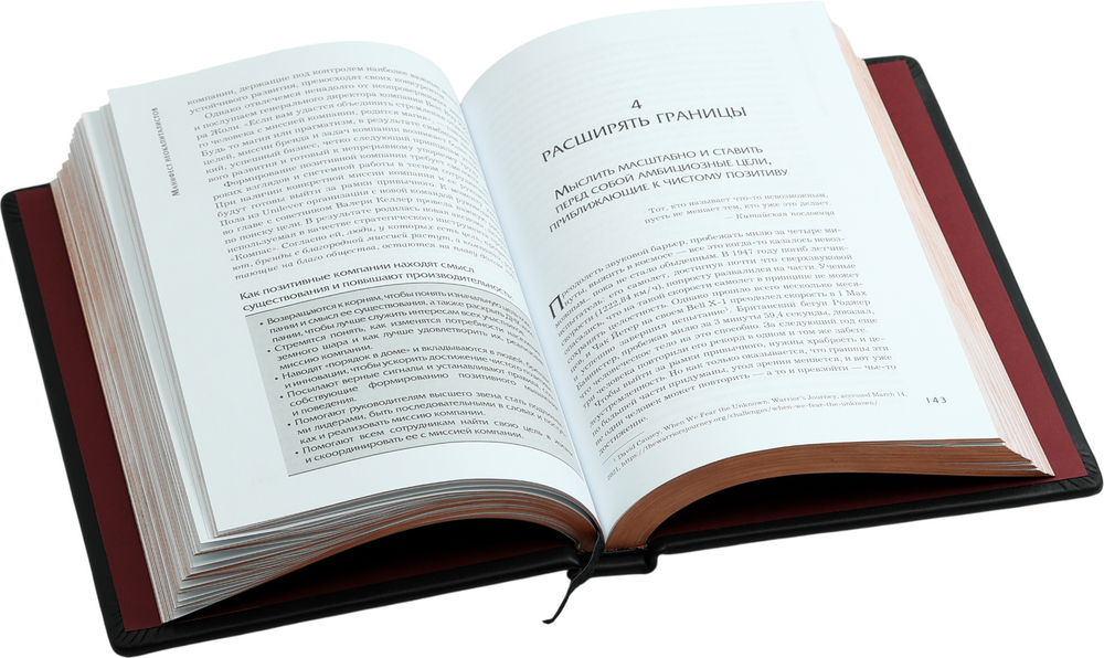 Полный позитив. Формула выживания и процветания бизнеса в изменившемся мире