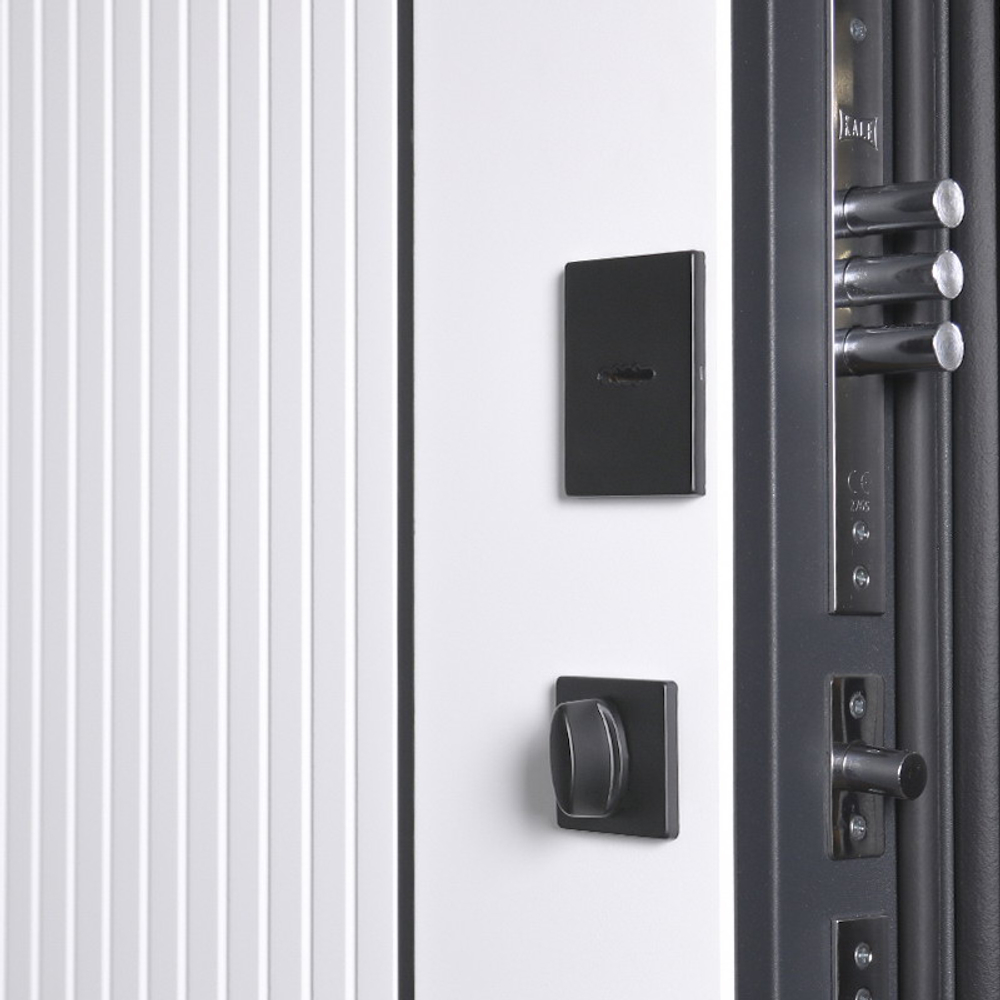 Стальная дверь "Форпост". Заказная модель.