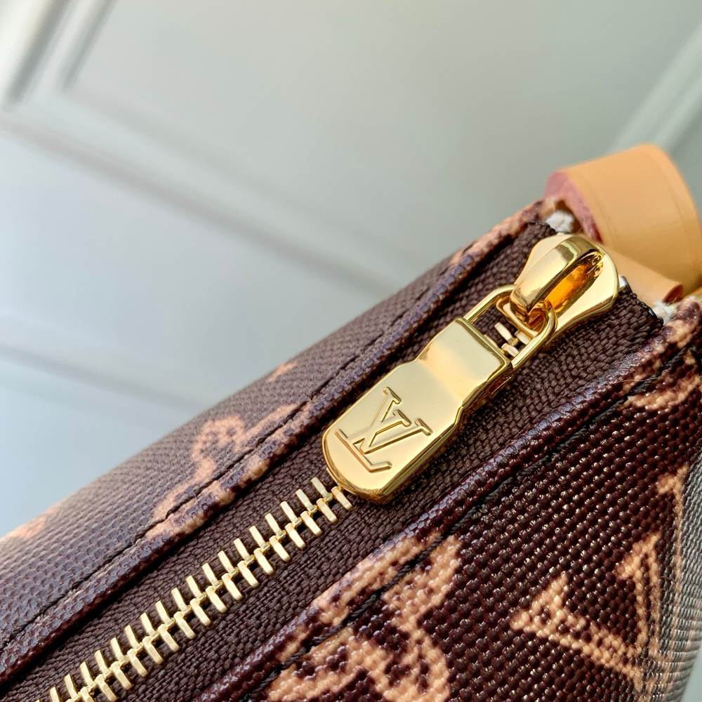 Louis Vuitton Pochette Accessoires