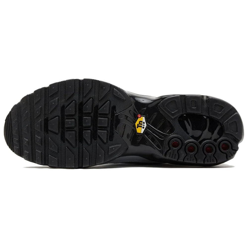 Кроссовки Nike Air Max Plus Tiempo