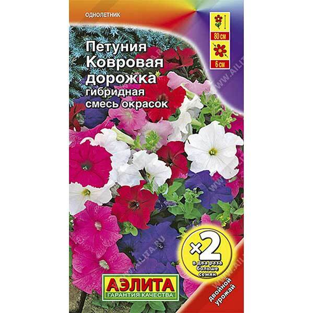 Петуния Ковровая дорожка 2-ая гр Аэлита Ц