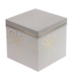 GAEM Коробка подарочная (бумага 350г/м2), L22,5 W22,5 H22 см, 4в.