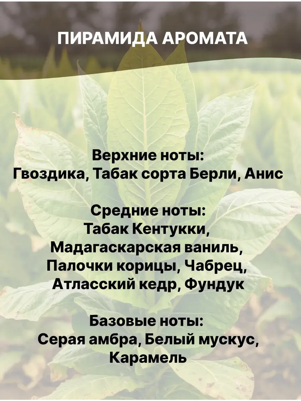 Отдушка для свечей и мыла косметическая ароматизатор