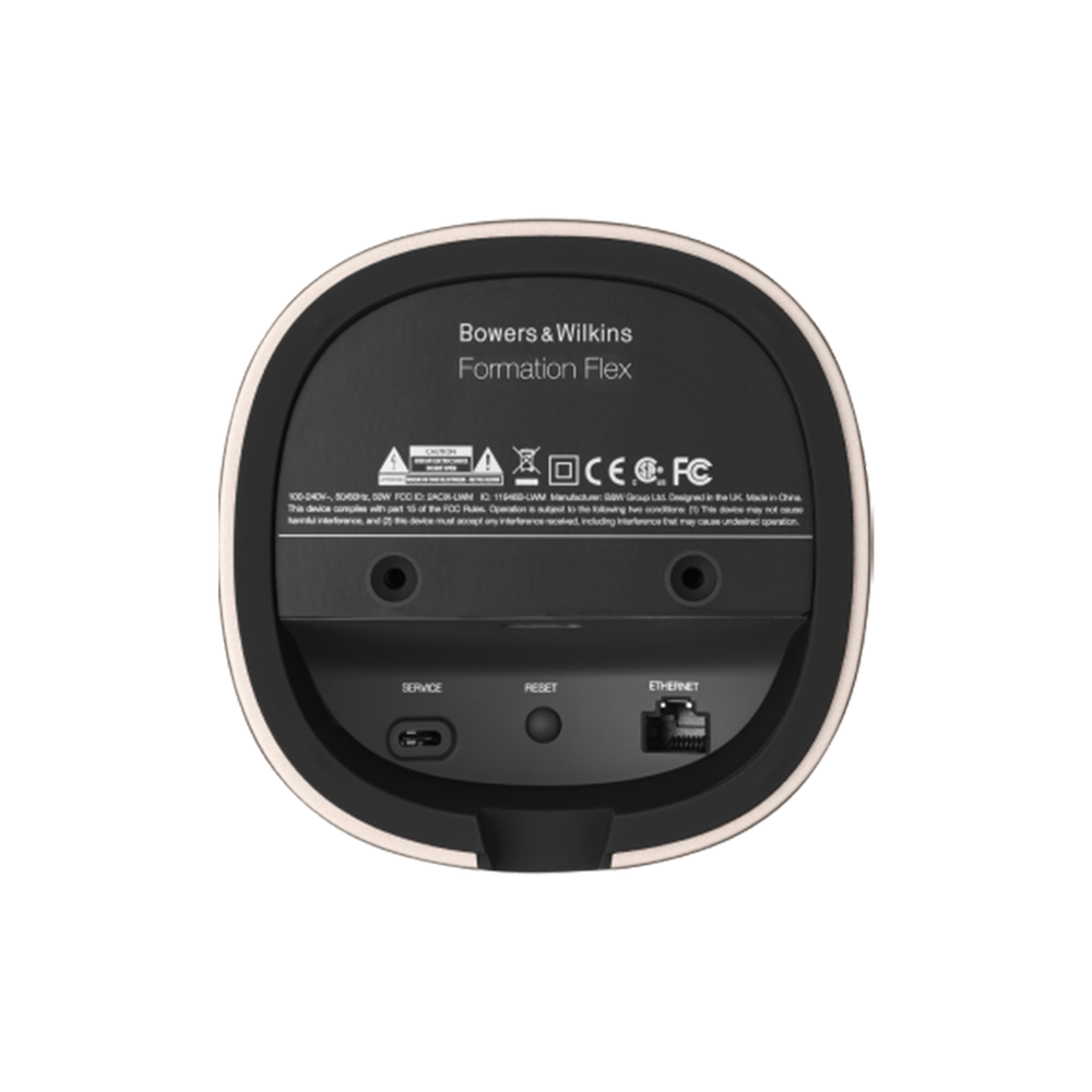 Беспроводная колонка Bowers & Wilkins Formation Flex