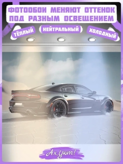 3D Фотообои черная гоночная машина в пустыне