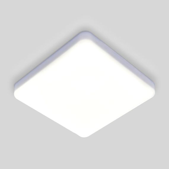 Потолочный светодиодный светильник Elektrostandard DLS043 10W 4200K a047941