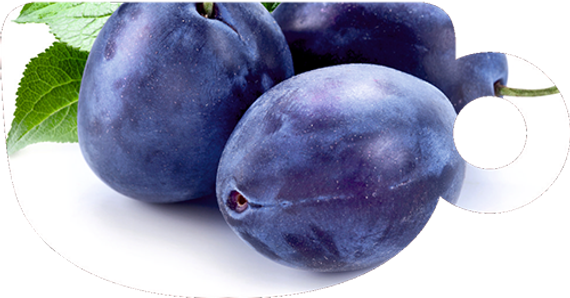 Puer Hookah - Blue Plum (100г)