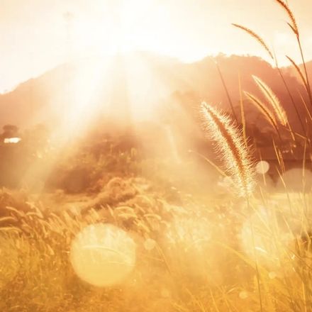 Залитый солнцем (Sunwashed)