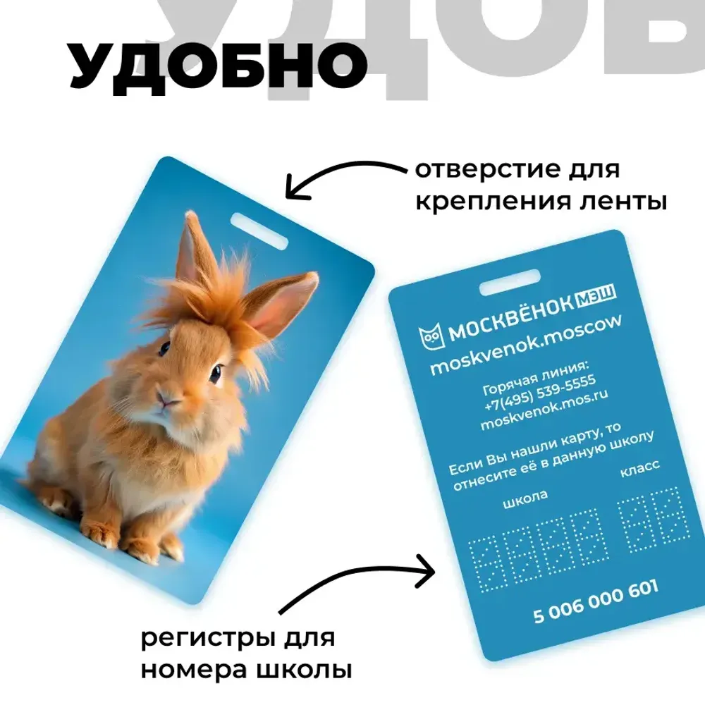 Карта Москвёнок ANIMALS №6 (проход + питание)