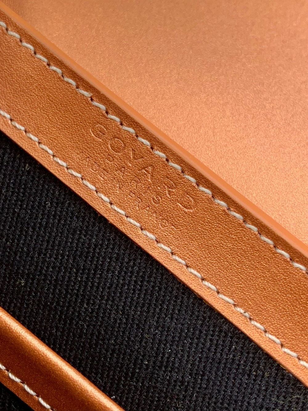 Goyard Saigon Mini Trunk Bag