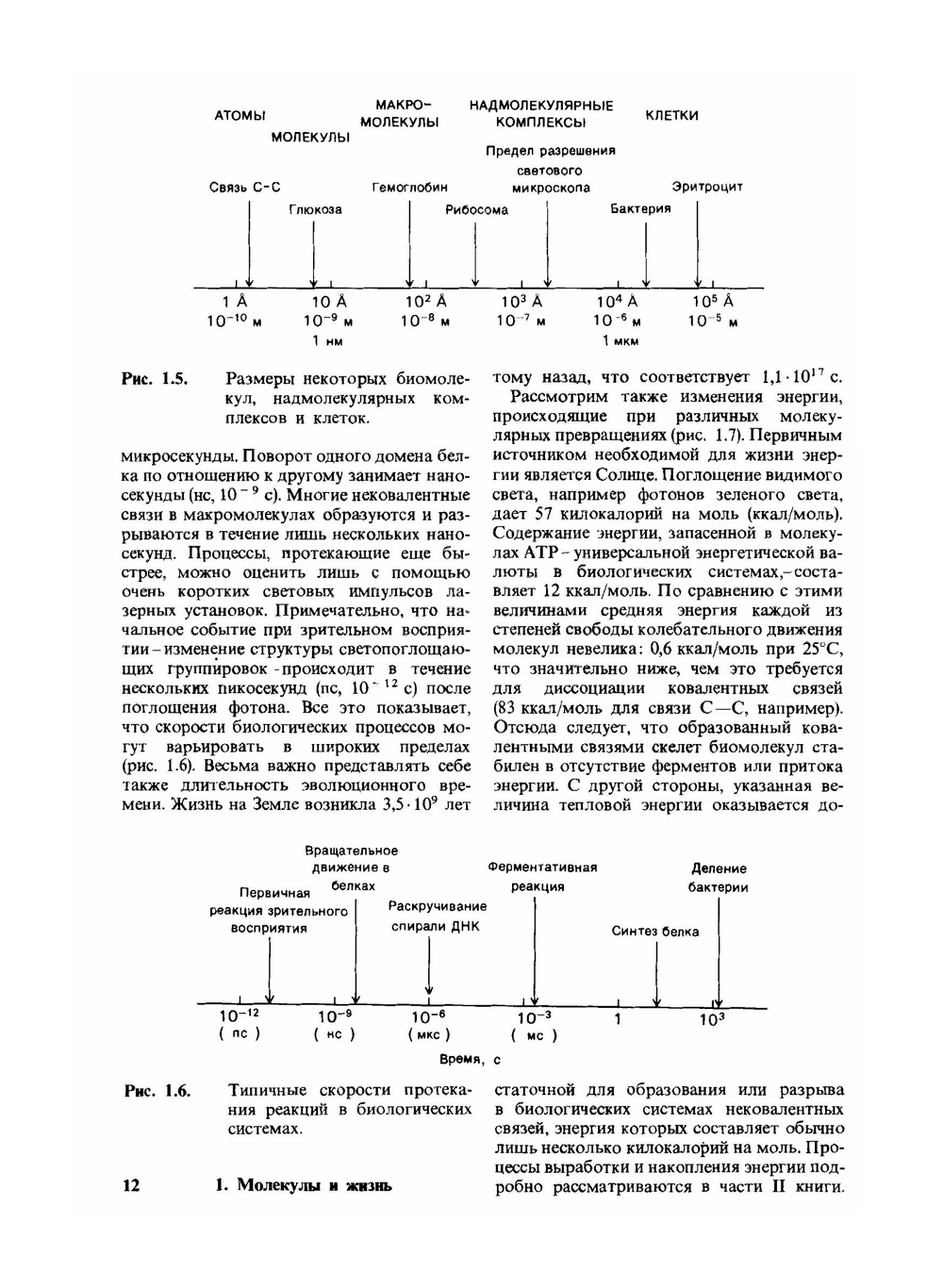 Биохимия. Том 1 | Л. Страйер