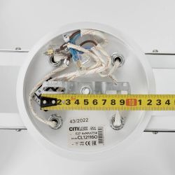 Citilux Отто CL121160 Люстра потолочная Белая