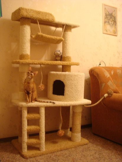 Дом для кота И-8