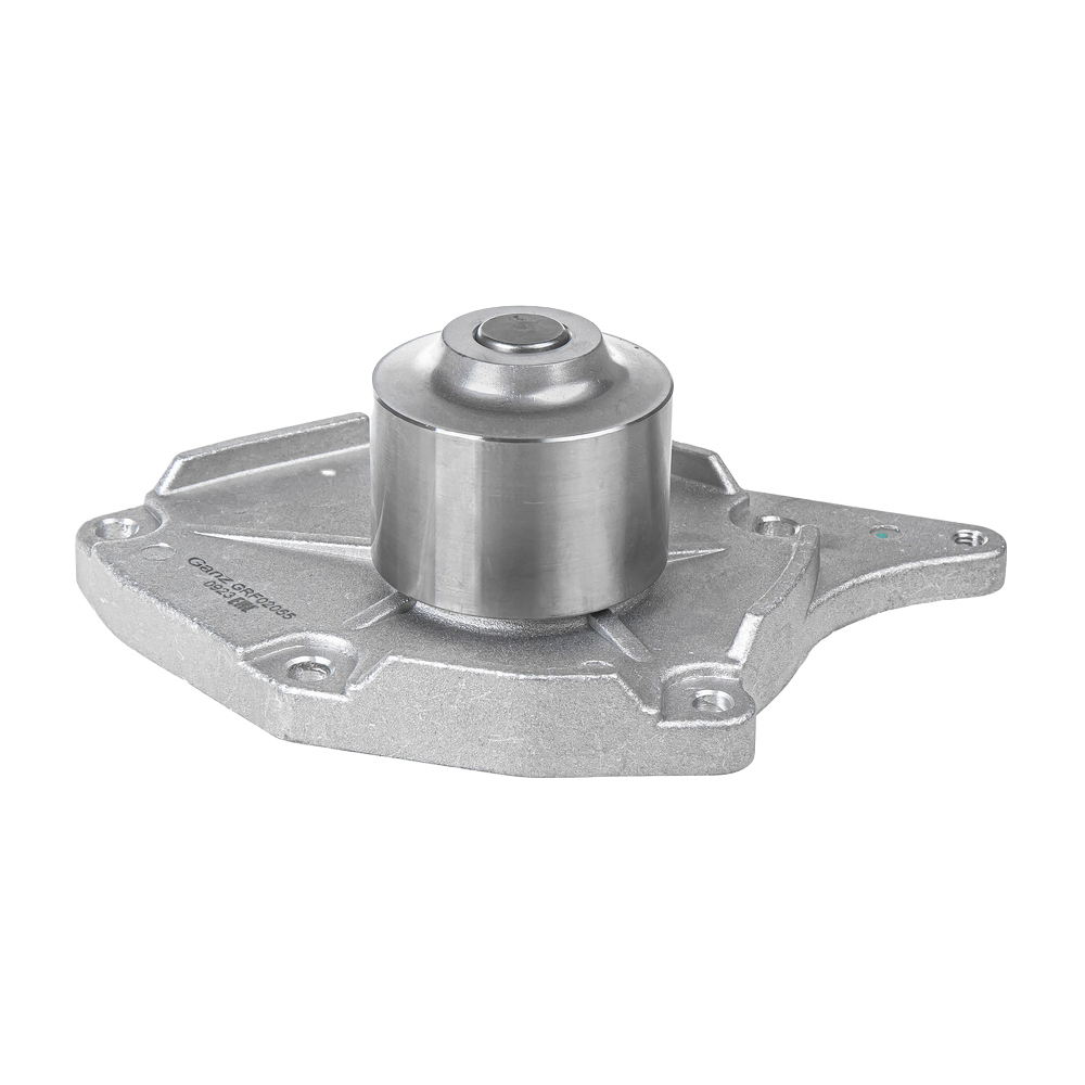 Помпа, водяной насос RENAULT Megane GANZ GRF02055