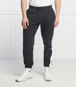 спортивные штаны EA7 - черный(3LPP63 PJ8VZ)