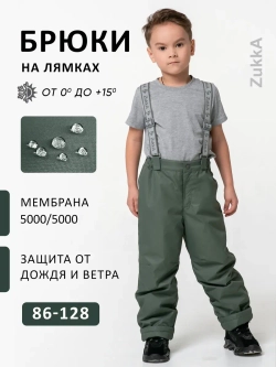 Полукомбинезон утепленный демисезонный мембрана