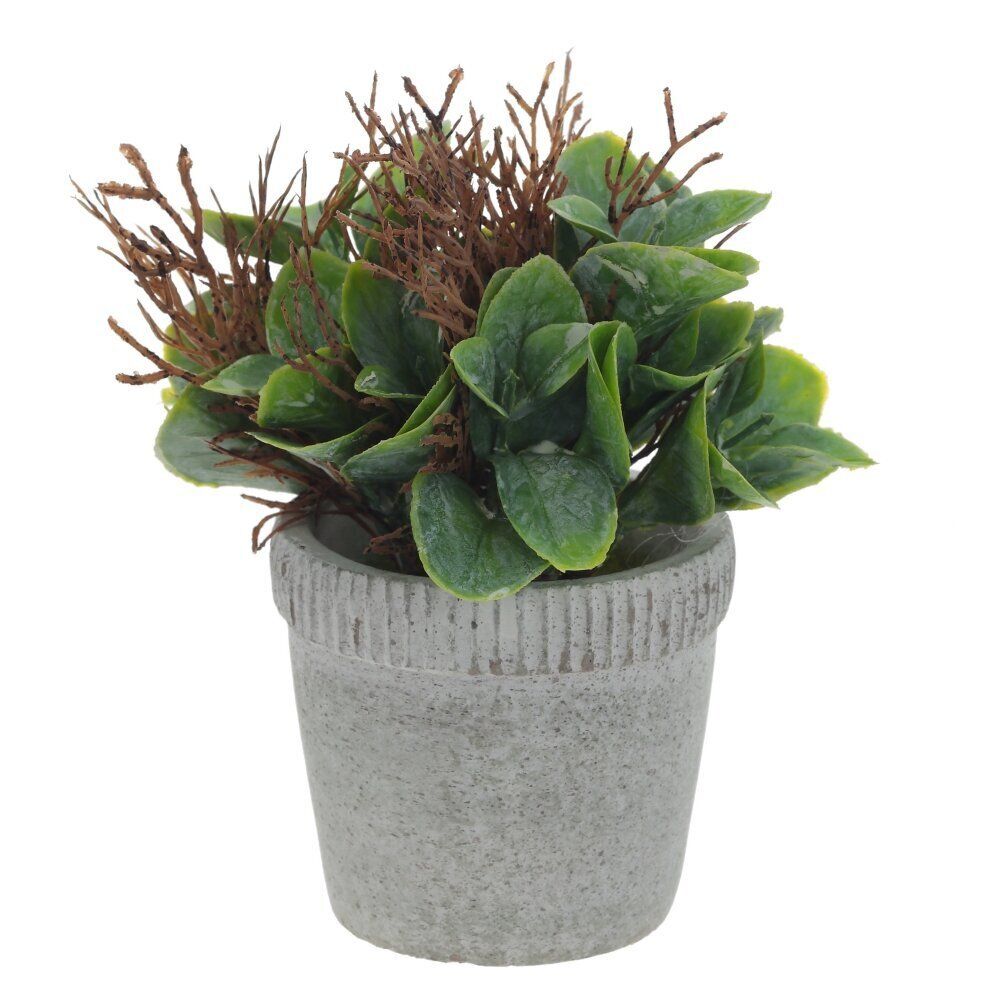 GAEM Цветочная композиция, L11 W11 H16 см