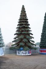 Уличная елка ствольная "Таежная" (пвх) от 11 до 21 м