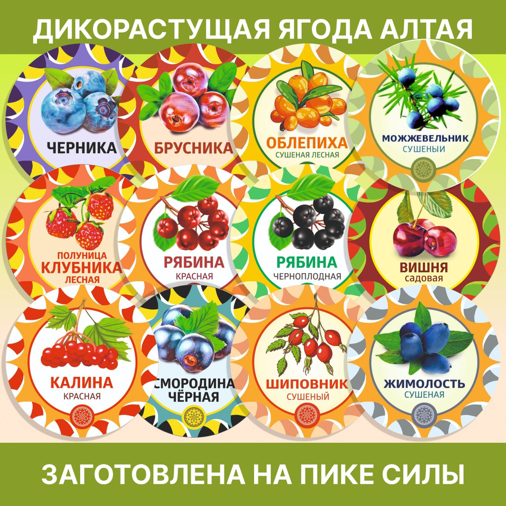 Бессмертник цвет сушеный.