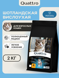 Корм сухой для взрослых кошек породы Шотландская вислоухая, с лососем, 2 кг, QUATTRO