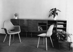 Стул Eames Organic