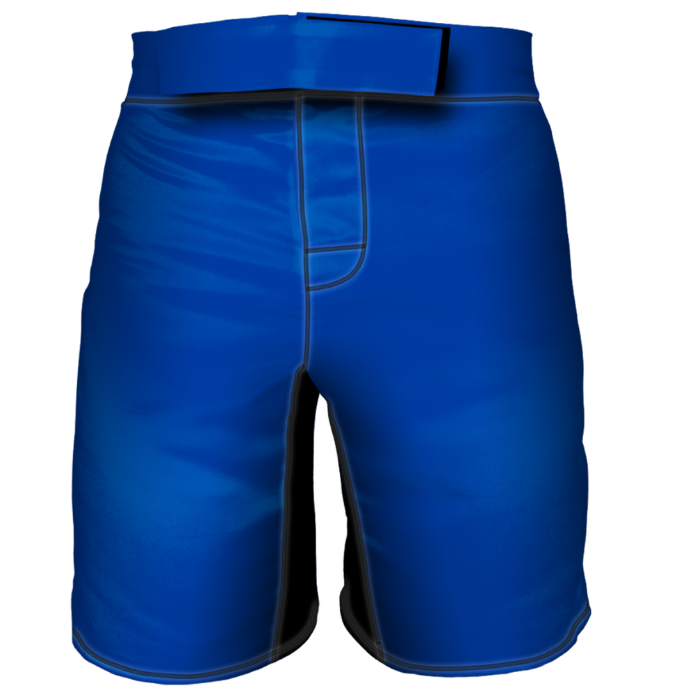 Шорты для мма 6F (синие)