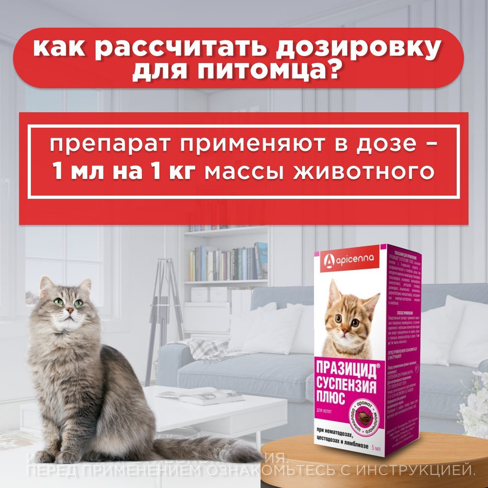 Суспензия для котят от гельминтов и лямблий Празицид Плюс APICENNA, 5мл. Фебантел/Пирантел/ Празиквантел