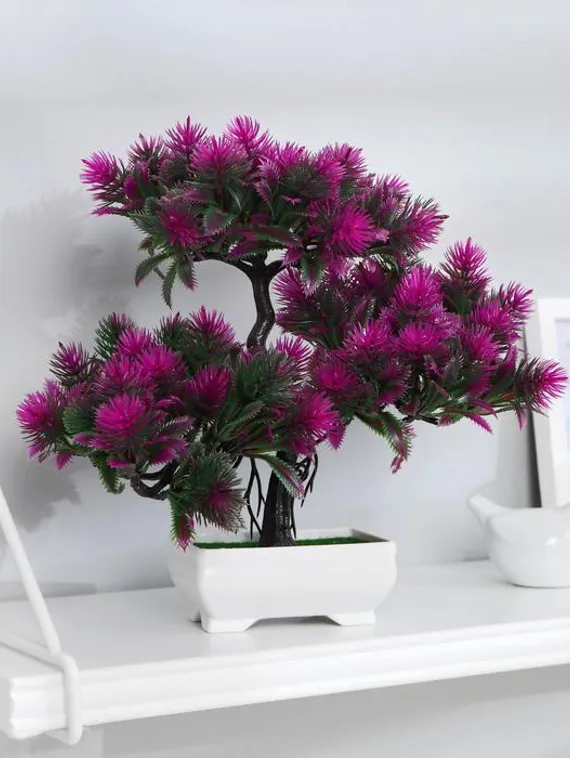 Бонсай в горшке "Мелкие пушистики" 26х24 см, микс