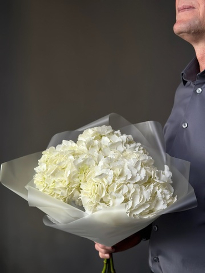 «Букет гортензий» (Колумбия)