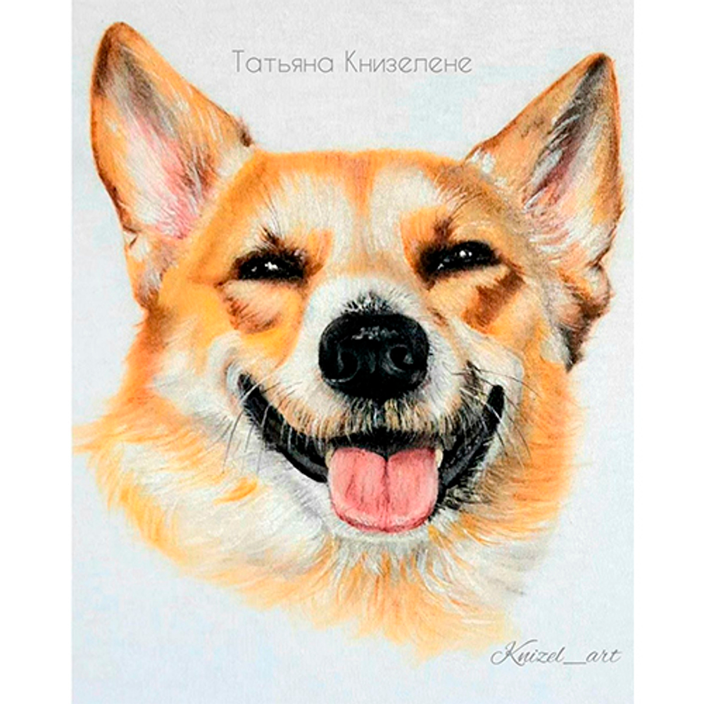 Краска по ткани и обуви, одежды акриловая «Горчичная»