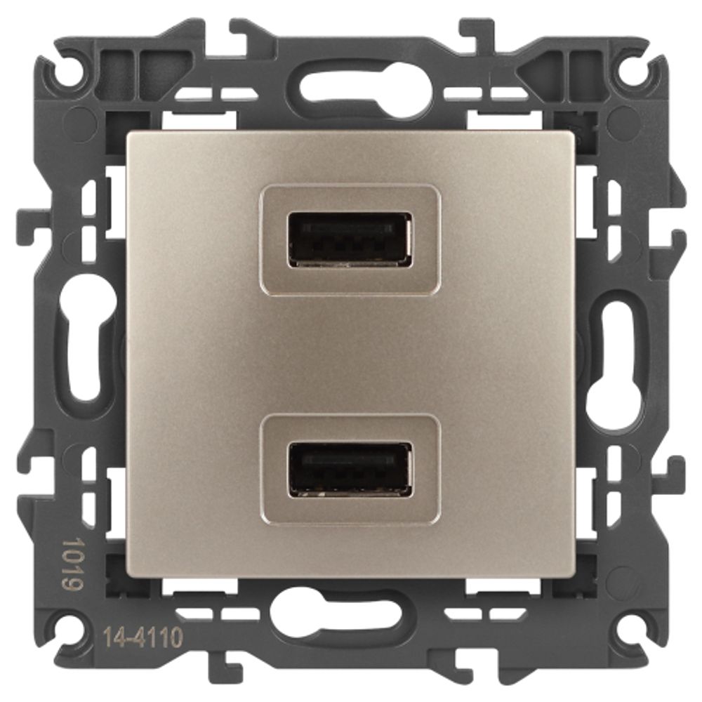 14-4110-04 ЭРА Устройство зарядное USB, 230В/5В-2100мА, IP20, Эра Elegance, шампань