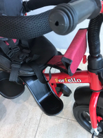 Детский трехколесный велосипед (2024) Farfello PL-02 (Красный/red)