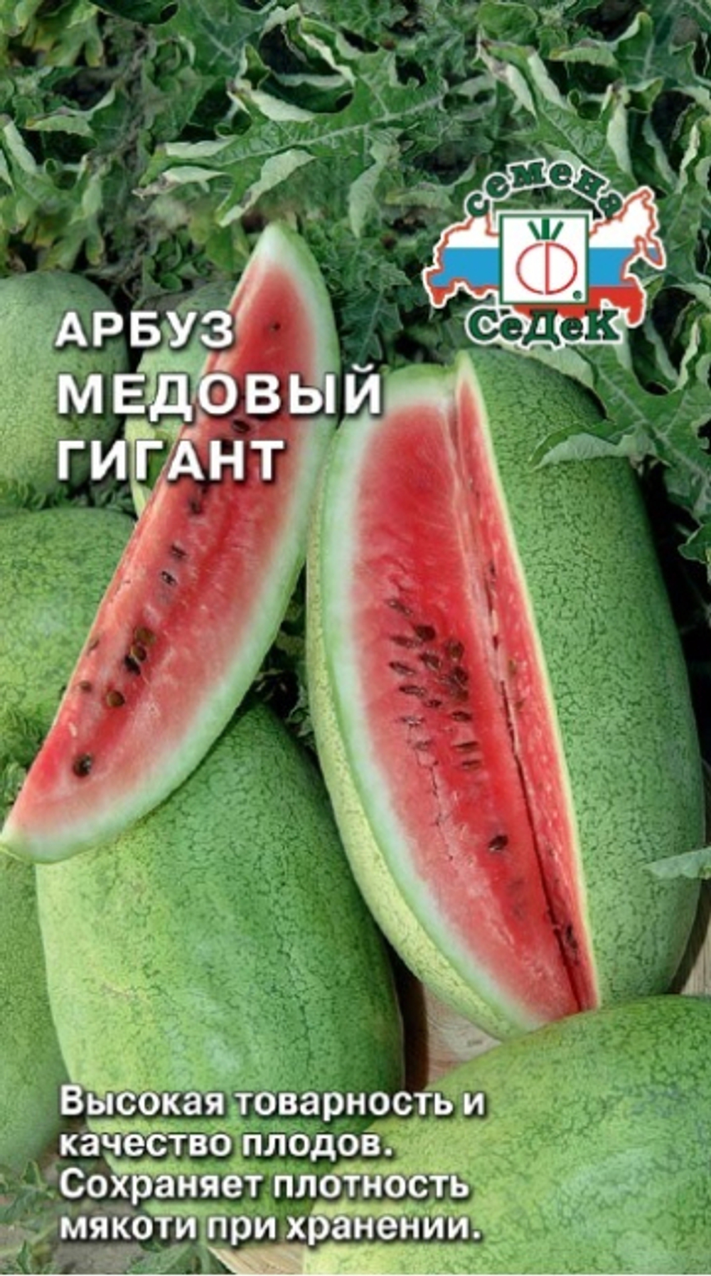арбуз Медовый Гигант