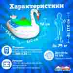 Электрическая бамперная лодка «Лебедь» на часовом механизме