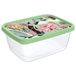 Контейнер для продуктов 0,5л «Botanica» с декором зеленый