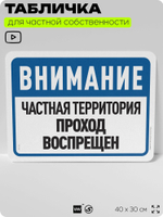Табличка для частной территории "Внимание, частная территория, проход воспрещен", на дом, для участка и организаций, предупреждающая, 40х30 см, Silver Plane x Айдентика Технолоджи