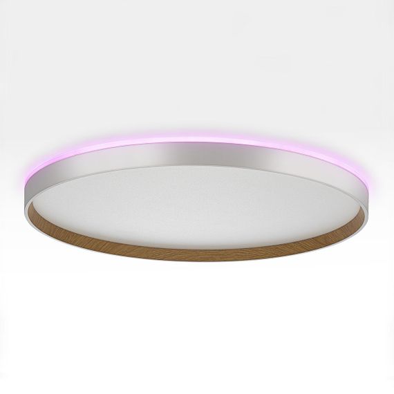 Потолочный светодиодный светильник Citilux Etalon CL750500R