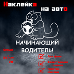 Виниловая наклейка на авто "Начинающий водитель" кот Саймона