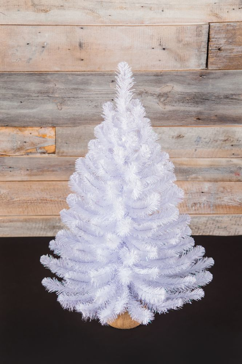 Ель Исландская 90см в мешочке белоснежная Triumph Tree