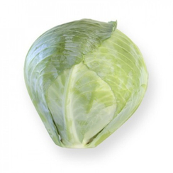 Сторема F1 семена капусты белокочанной (Rijk Zwaan / Райк Цваан)