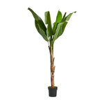 Искусственное растение BANANERA