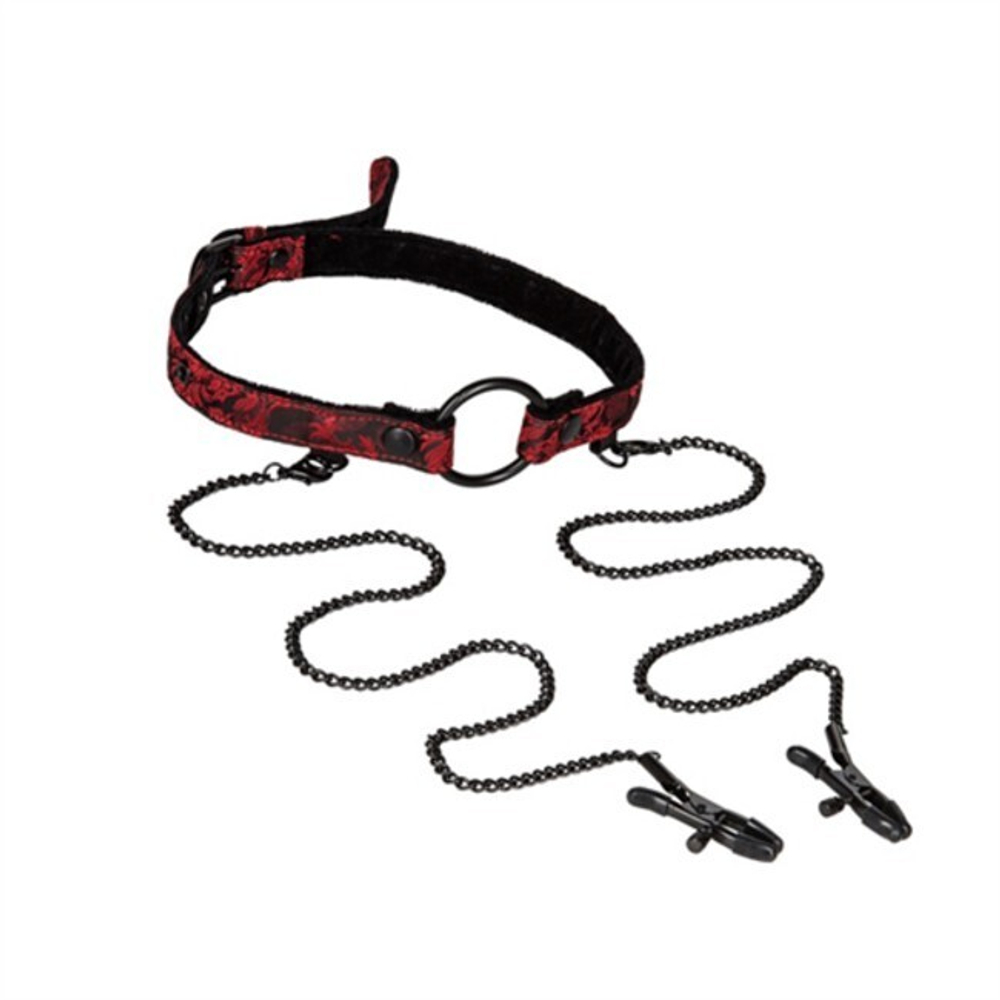 Кляп-кольцо с зажимами для сосков SCANDAL Open Mouth Gag with Clamps (Цвет: черный с красным)