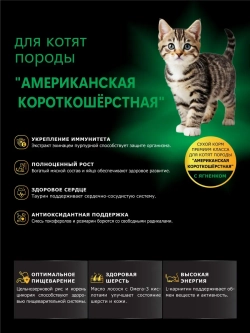 Корм для котят Американская короткошёрстная, ягненок 400 гр