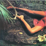 Комплект / Roxy Music (10 Mini LP CD + Box)