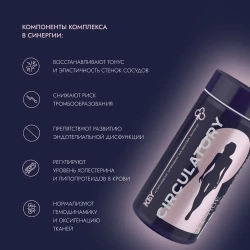 VEROVER PHARMA KEY Circulatory | БАД "Сосуды", 90 шт
