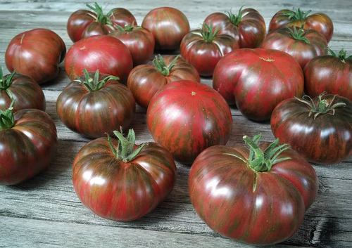 Гном Стринги Dwarf The Thong